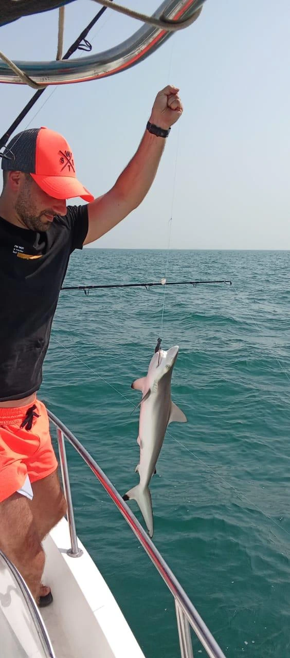 Fishing trip Dubai – Catching barracuda
