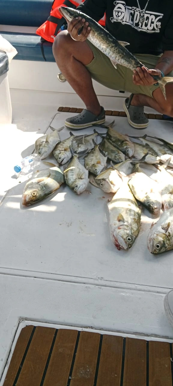 Fishing in Dubai with Adventure Yachts