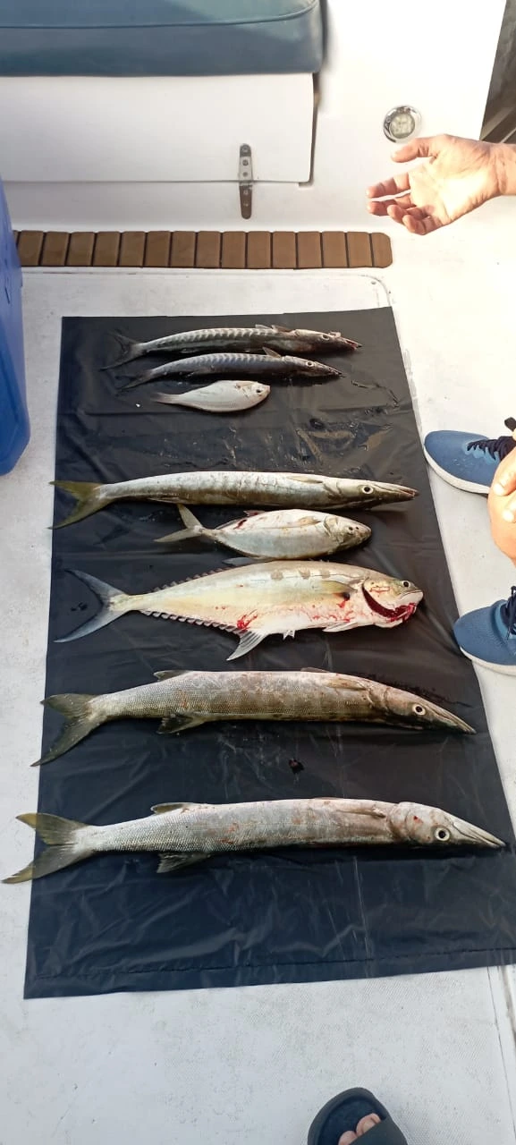 Family fishing trip Dubai Marina